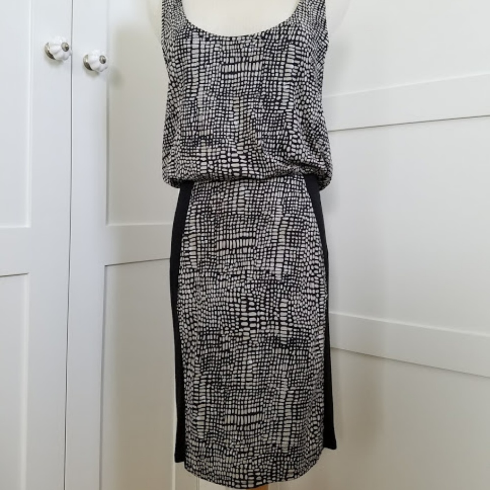 Brooklyn Industries dress (M)